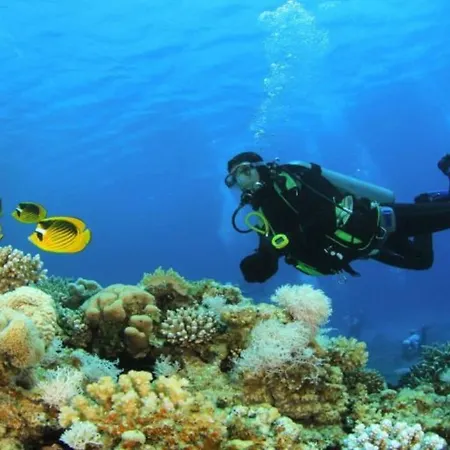 Lejlighed La Coccinella